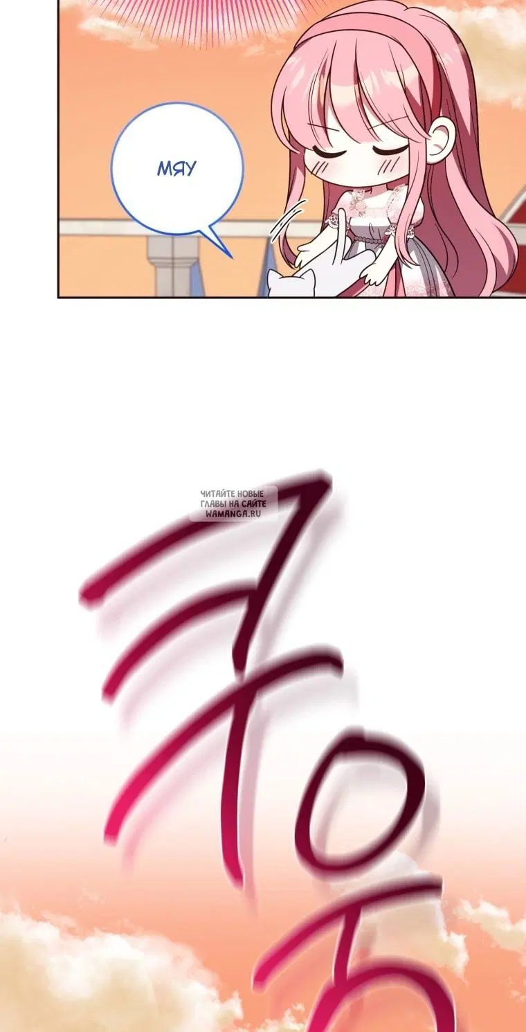 Page 51.000