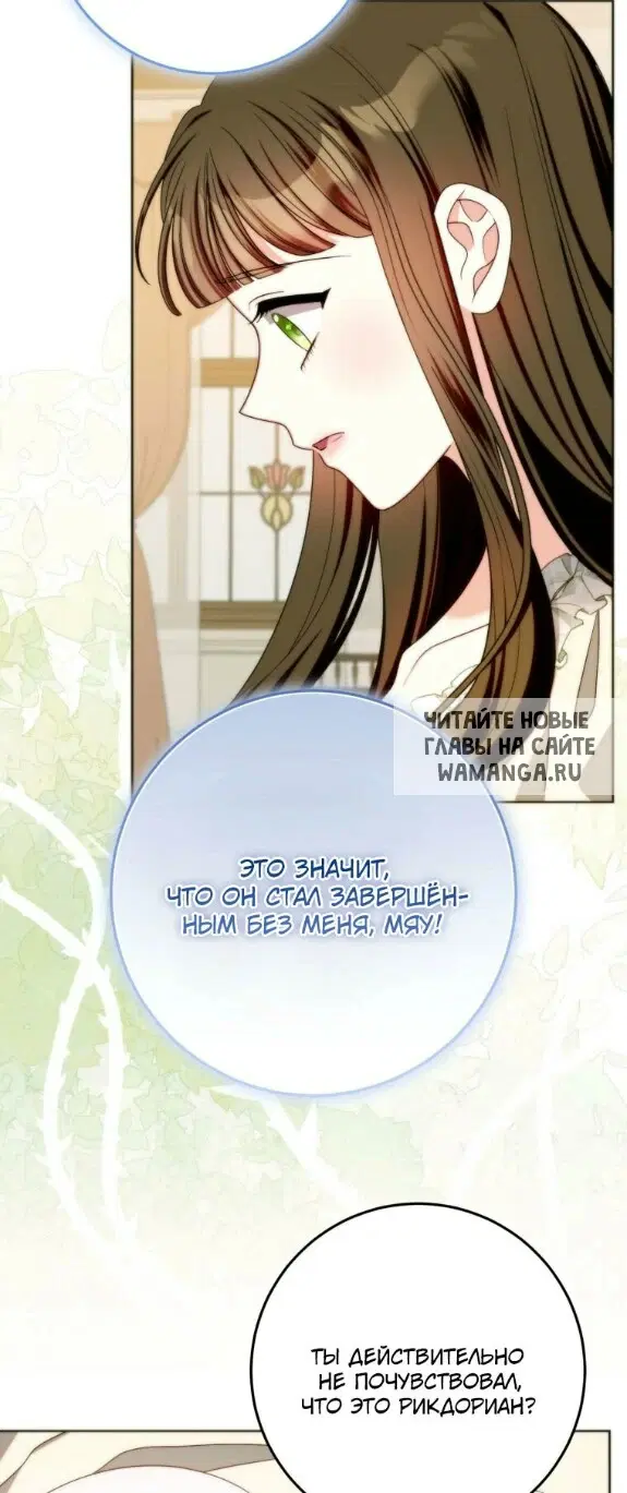 Page 53.000