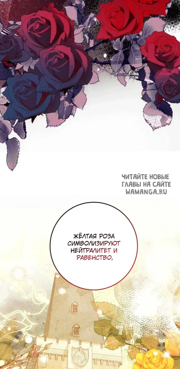Page 61.000