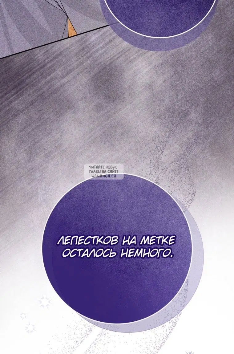 Page 78.000