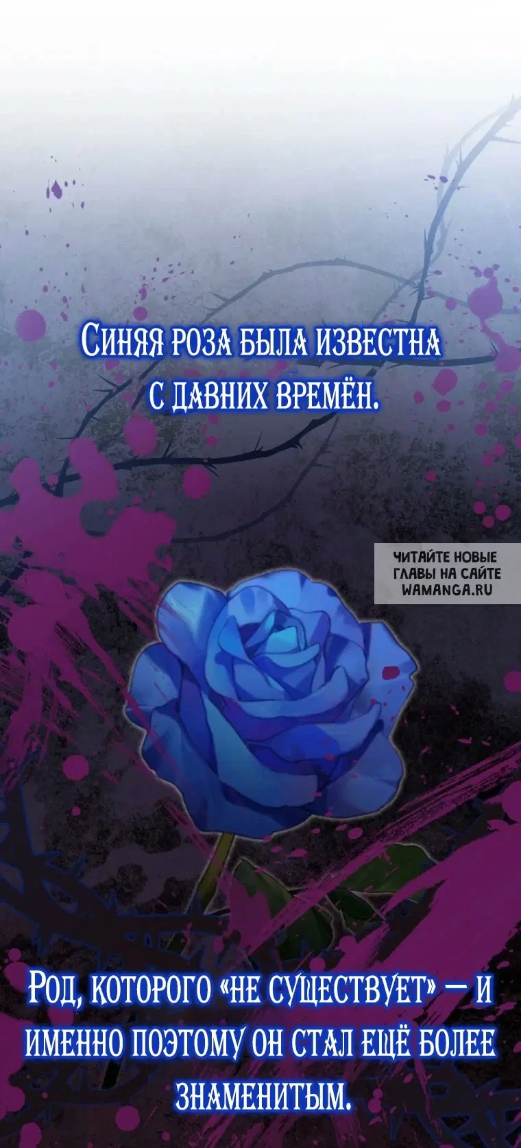 Page 79.000
