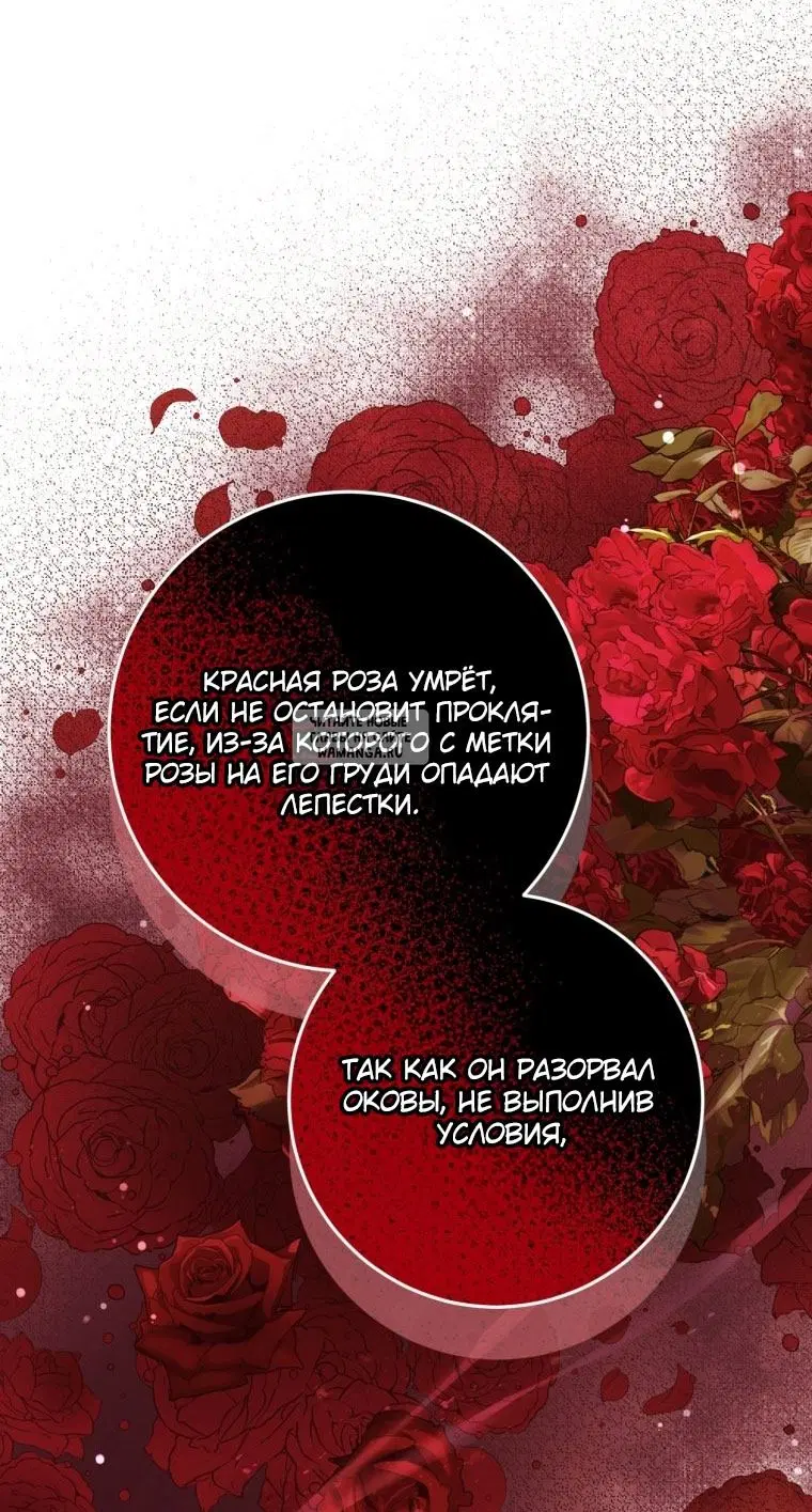Page 72.000
