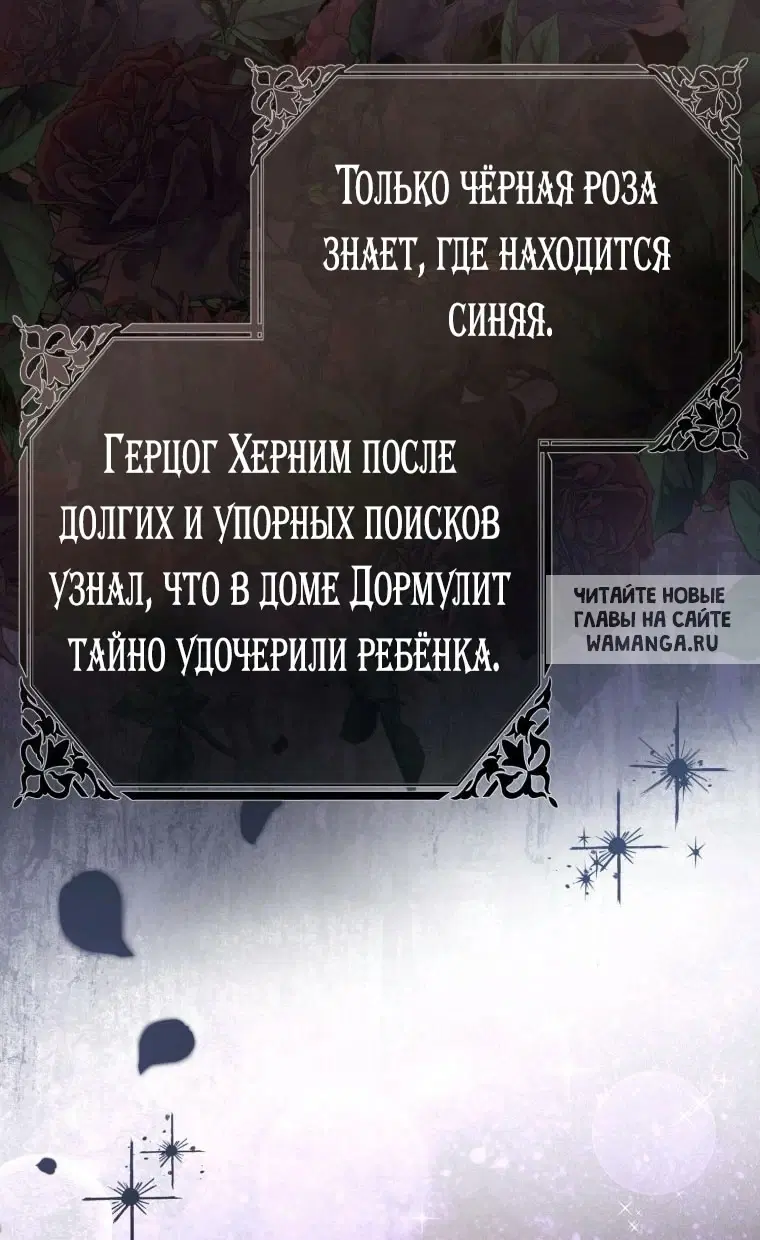 Page 81.000