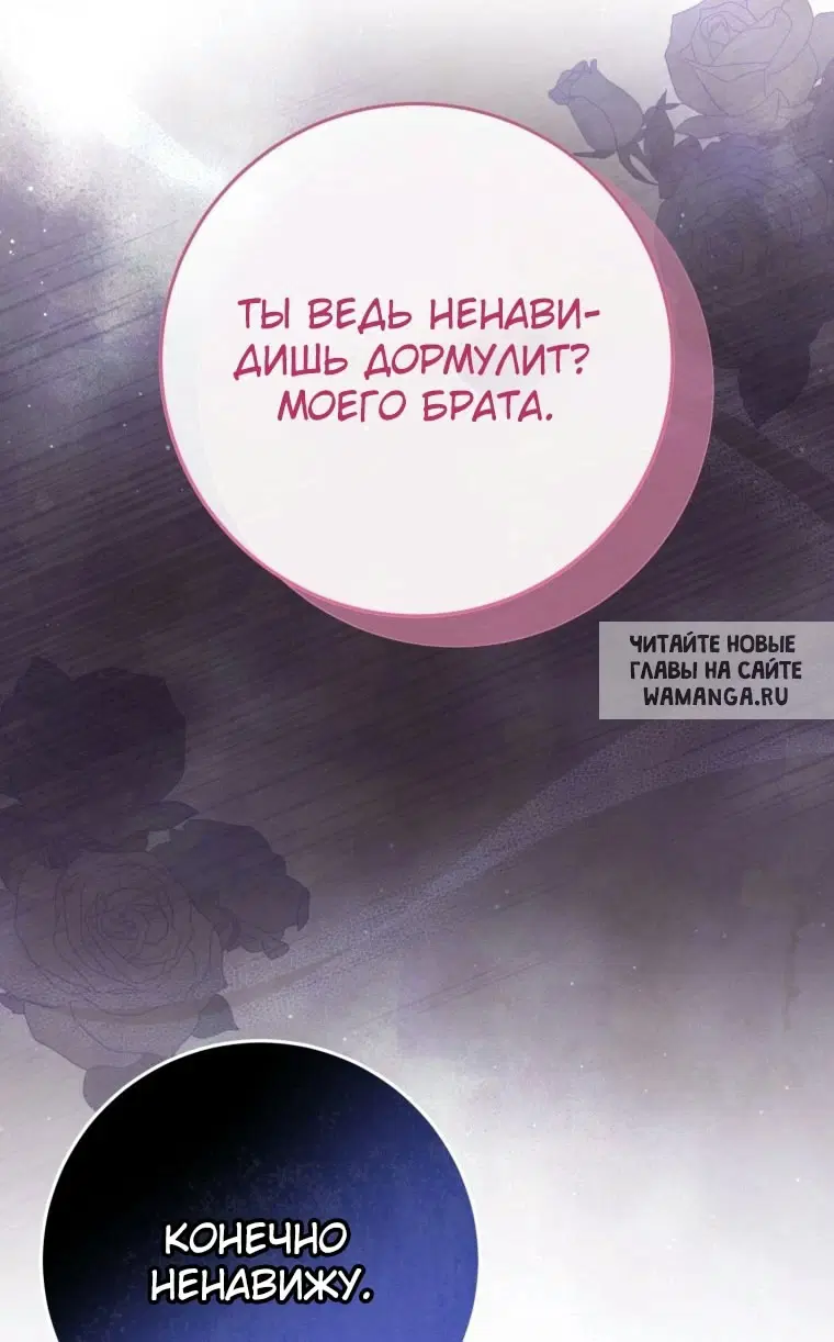 Page 81.000