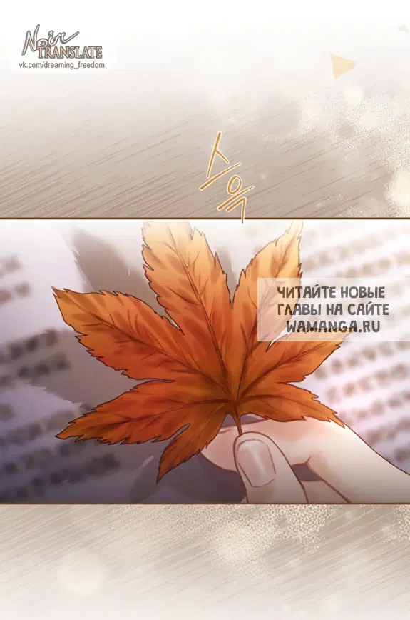 Page 44.000