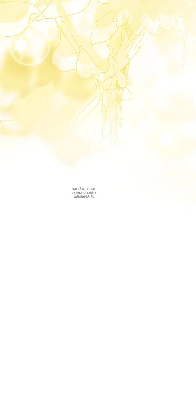 Page 42.000