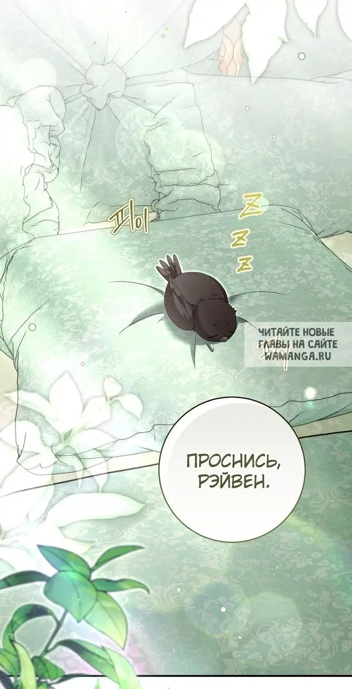 Page 20.000
