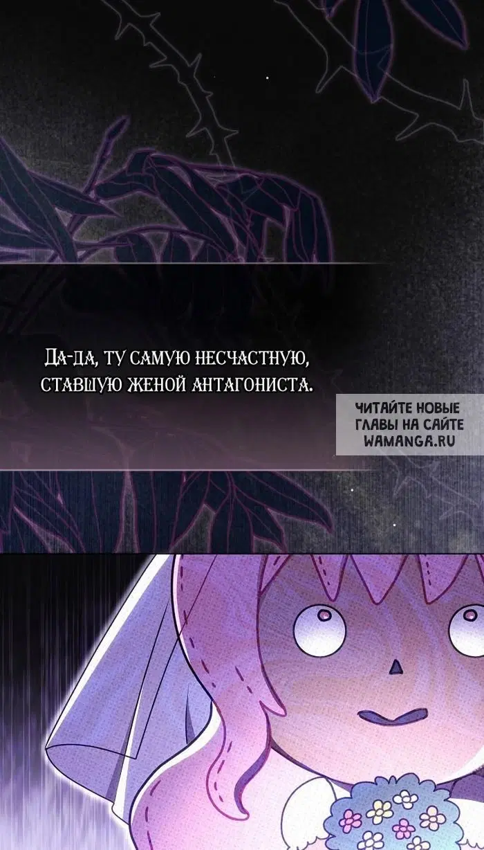 Page 49.000