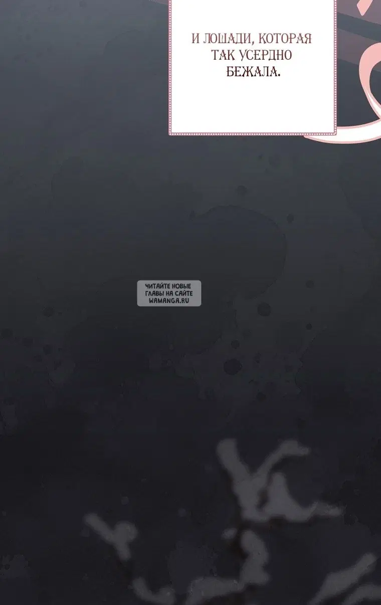 Page 41.000