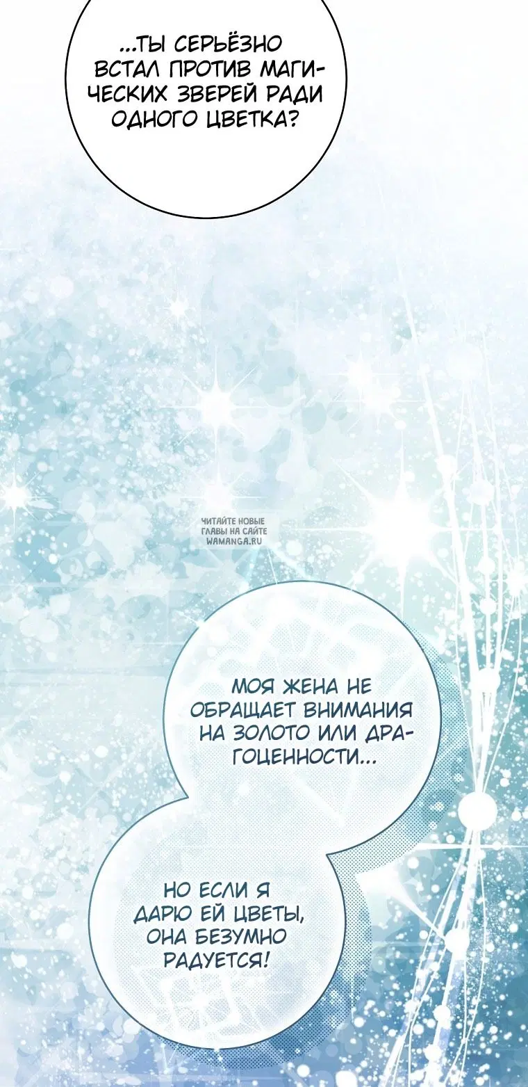 Page 41.000