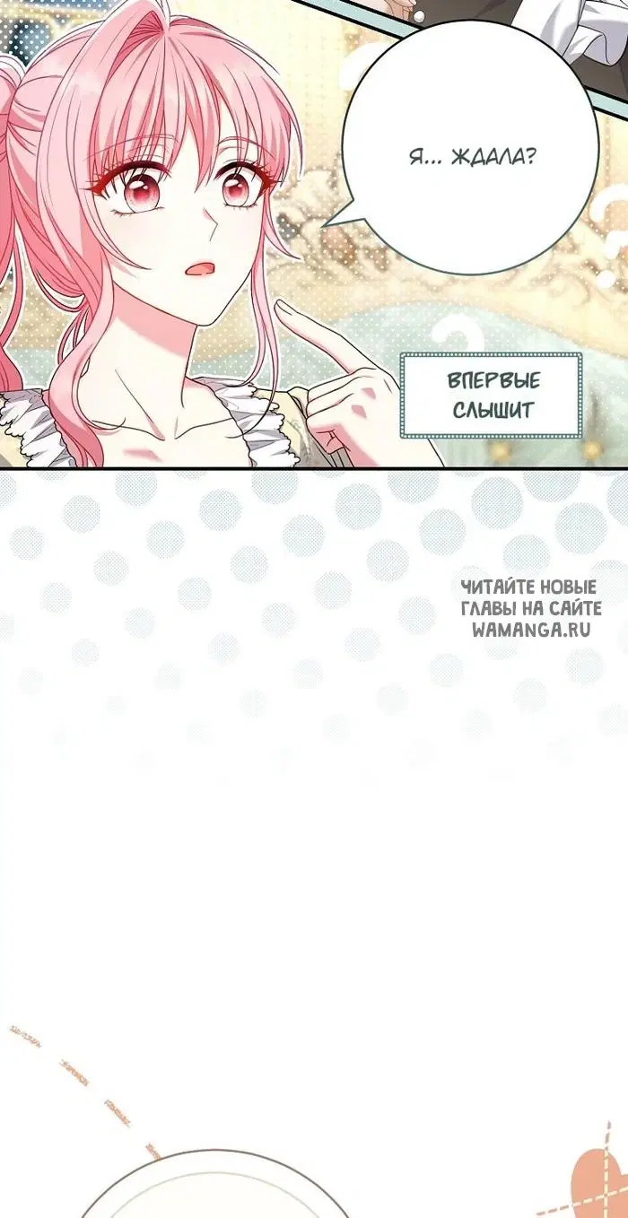 Page 51.000