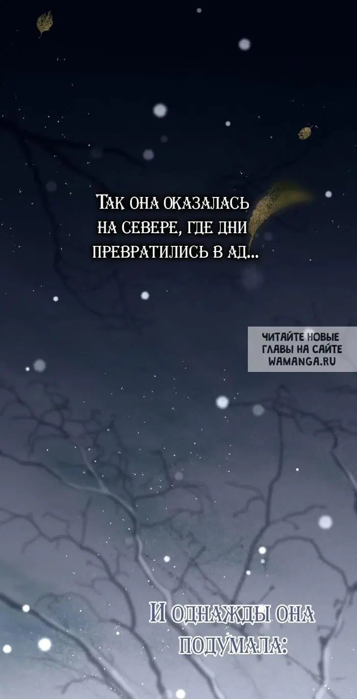 Page 53.000