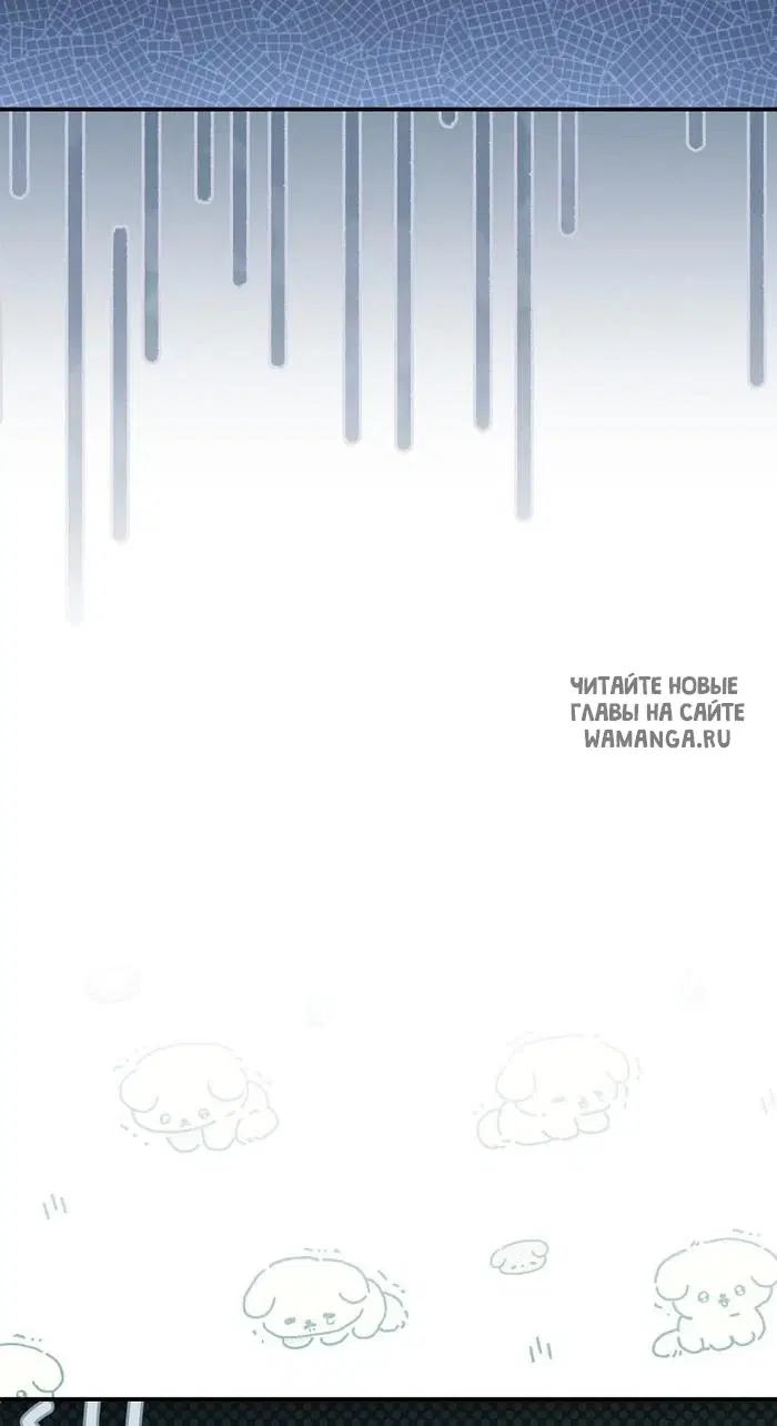 Page 61.000