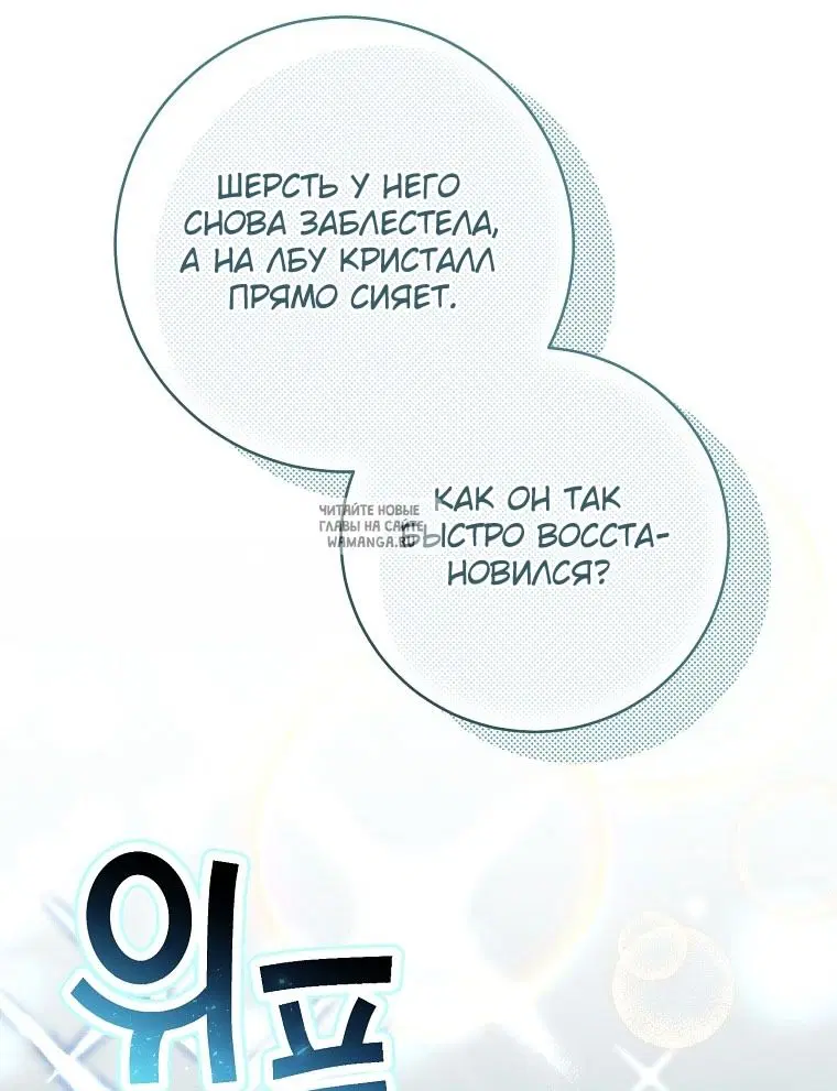 Page 71.000