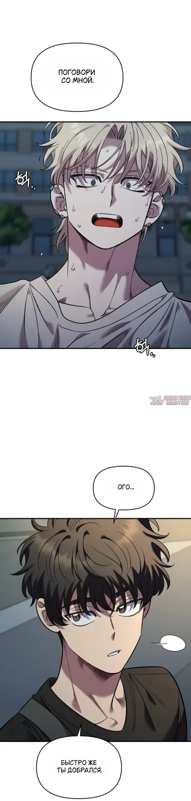 Page 31.000