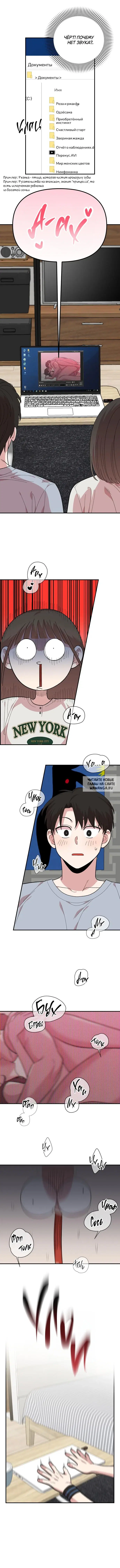 Page 11.000