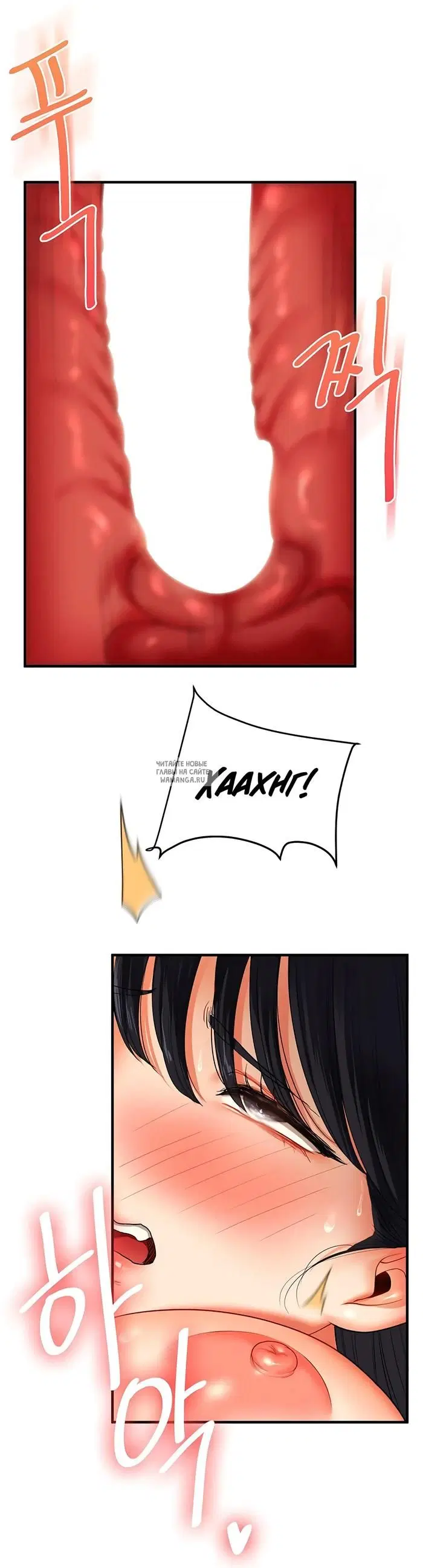 Page 36.000