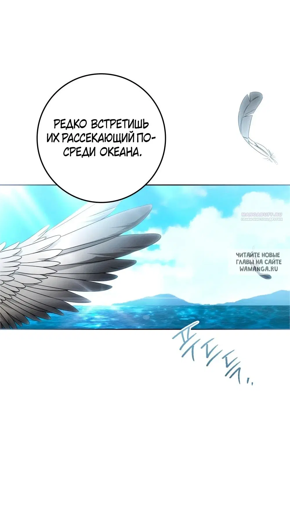Page 25.000