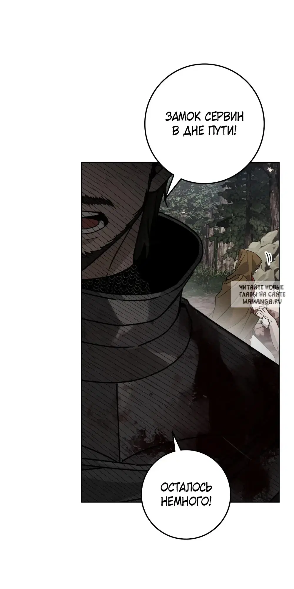 Page 35.000