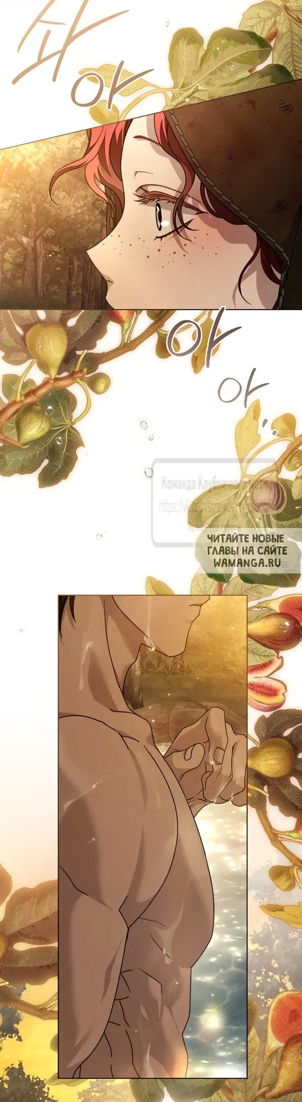Page 40.000