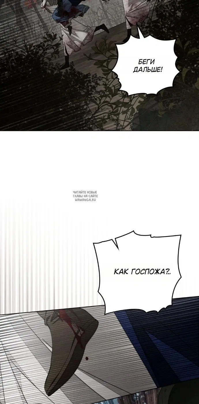 Page 41.000