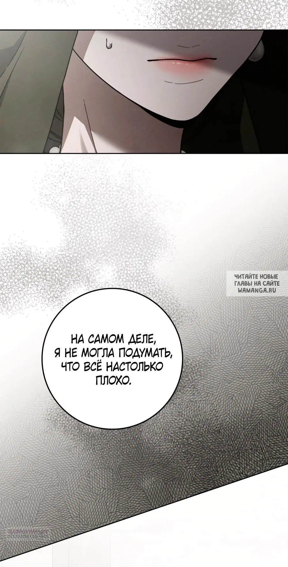 Page 41.000