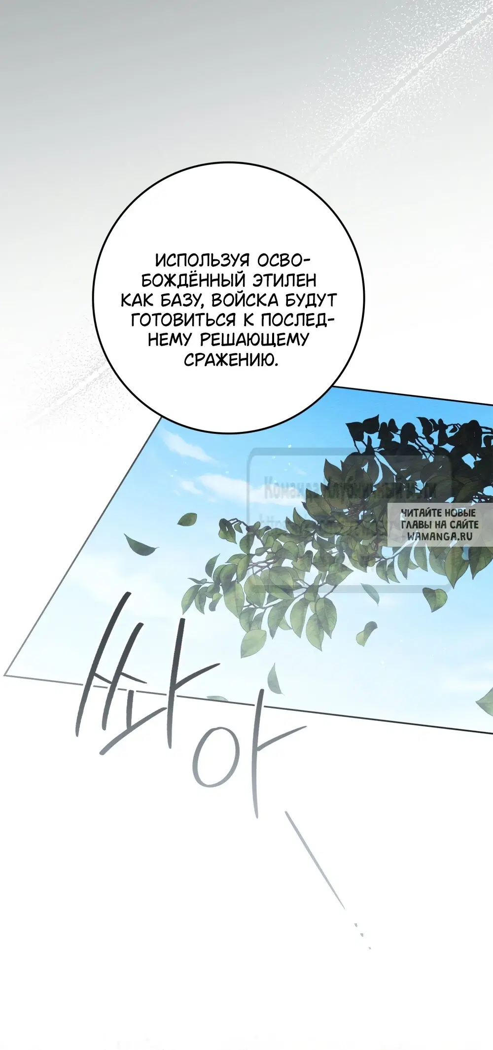 Page 41.000