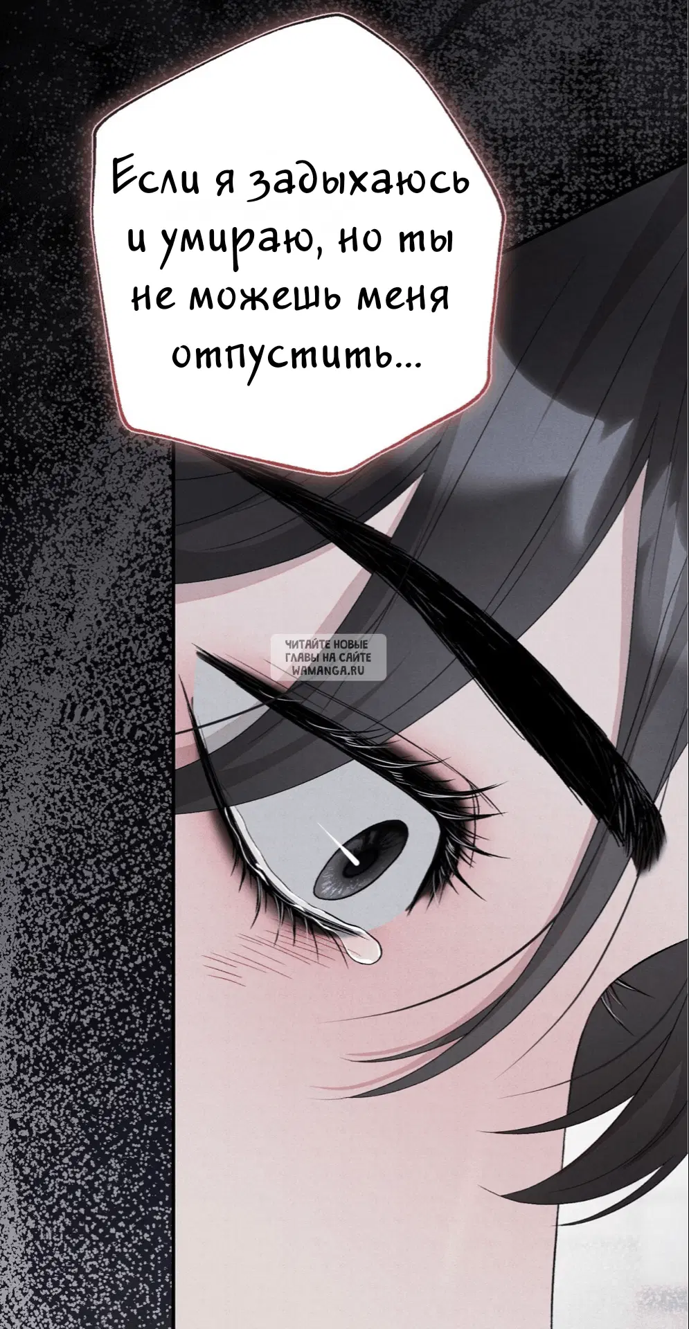 Page 52.000