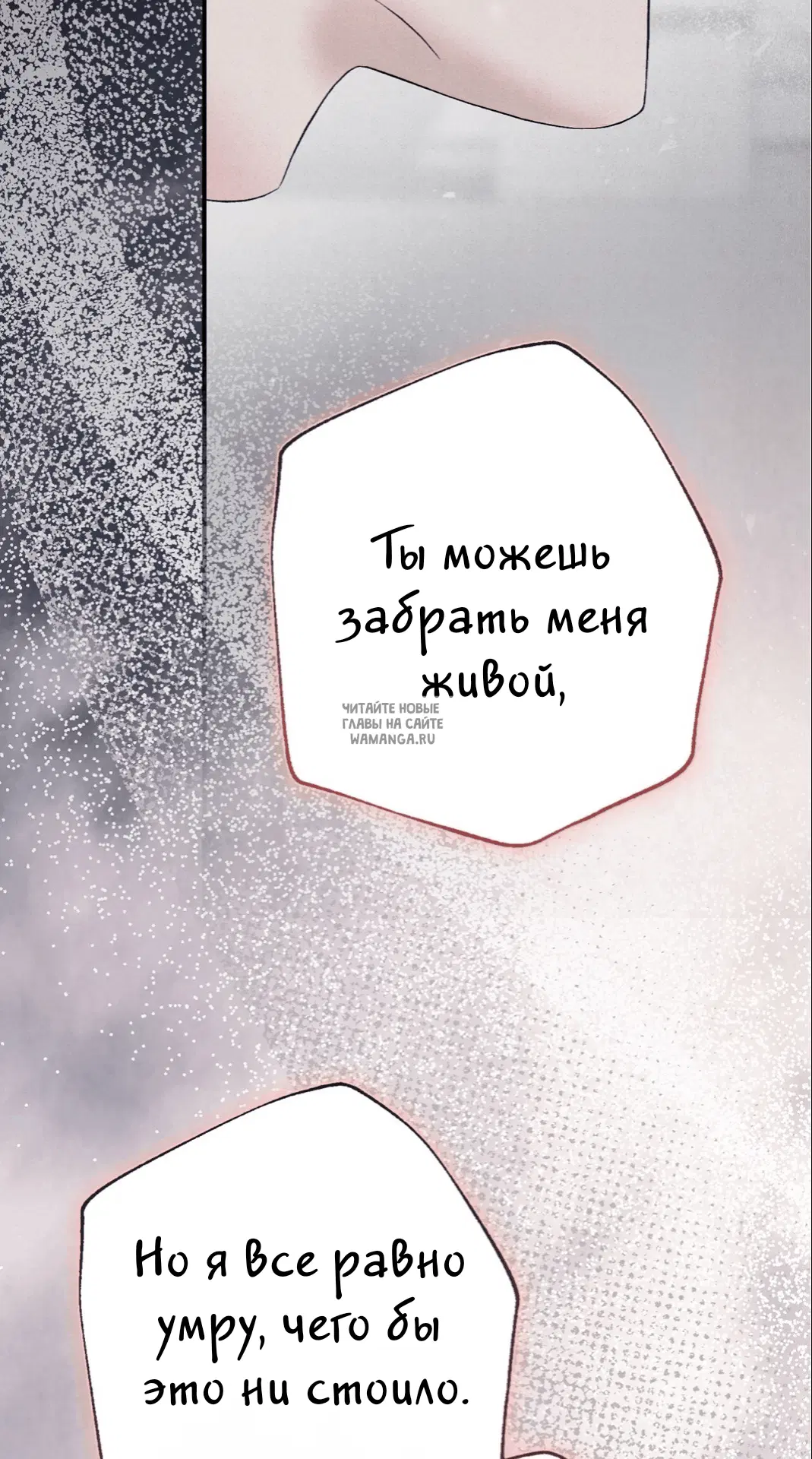 Page 53.000