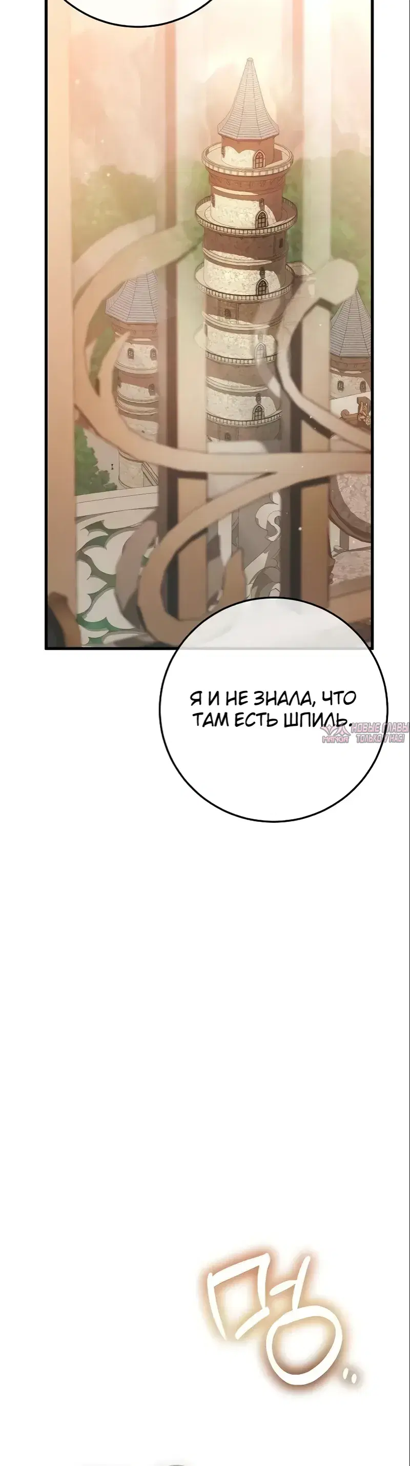 «Моё место жены украла близнец», глава 6, страница 24.000000000