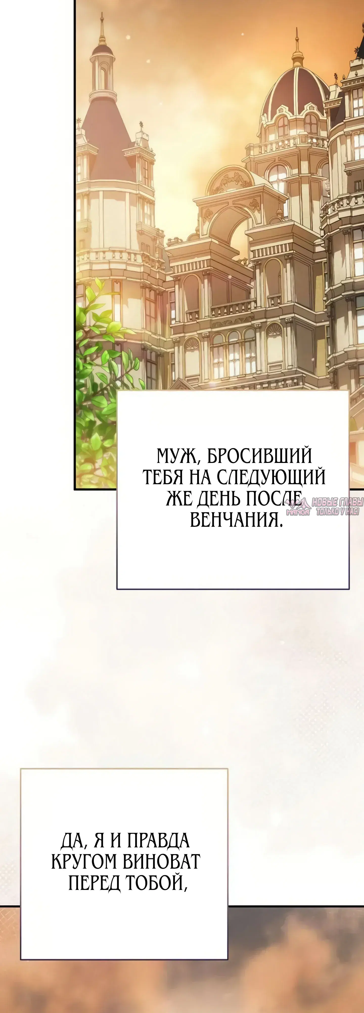 «Моё место жены украла близнец», глава 8, страница 36.000000000