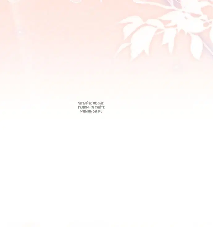 Page 51.000