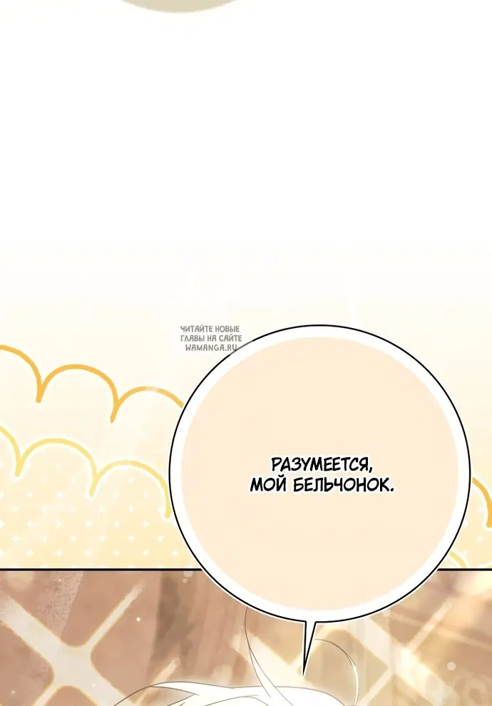 Page 64.000