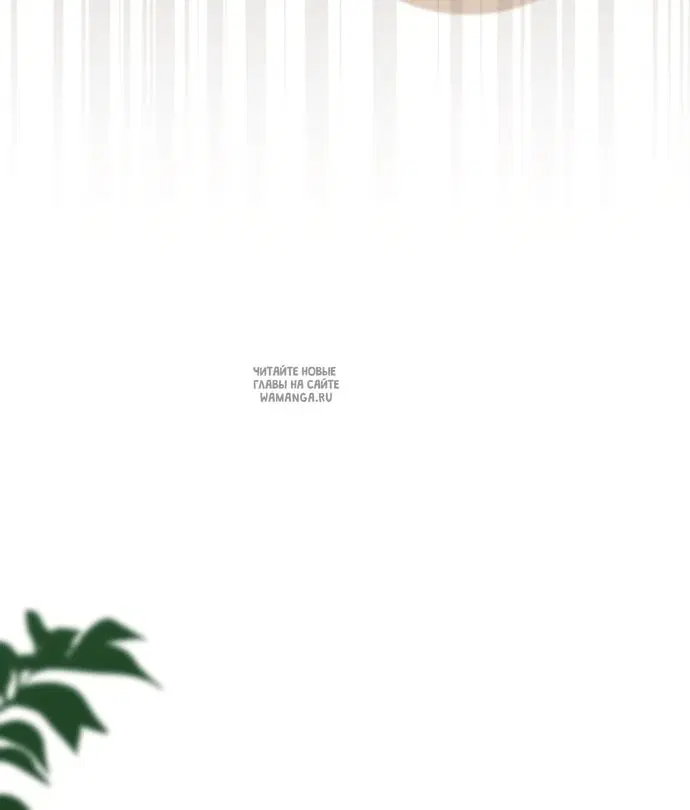 Page 71.000