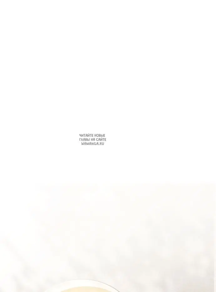 Page 81.000