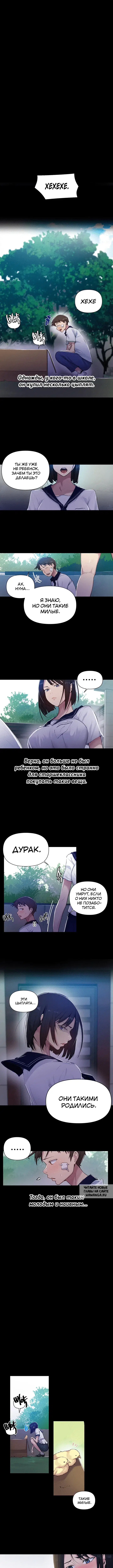 Page 4.000