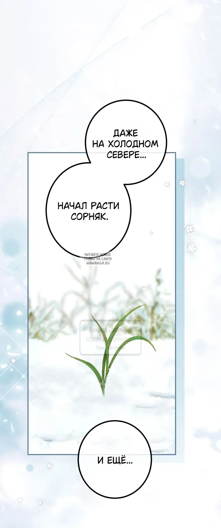Page 40.000