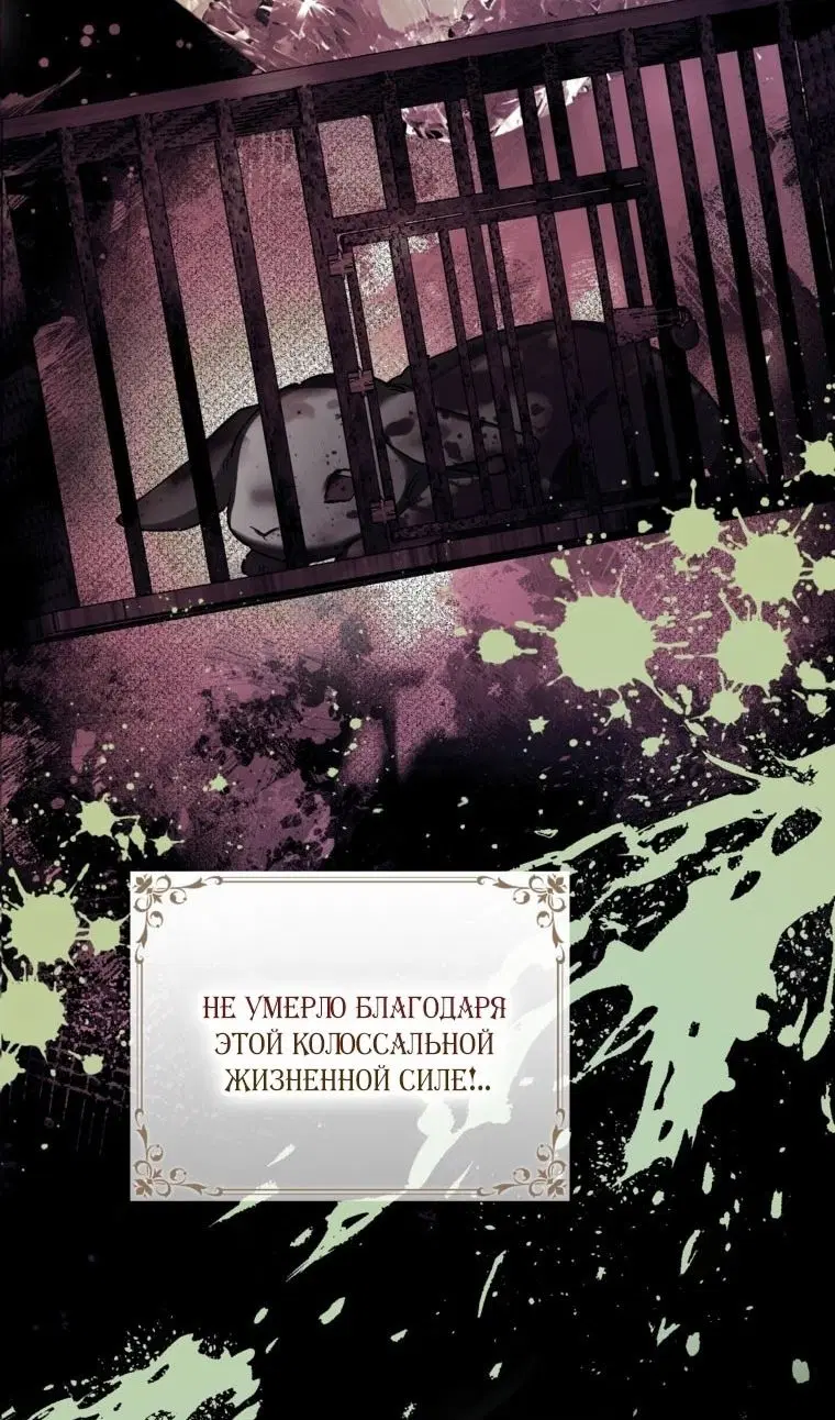Page 80.000