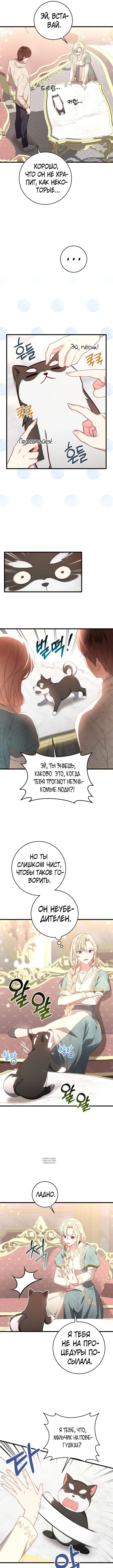 Page 5.000