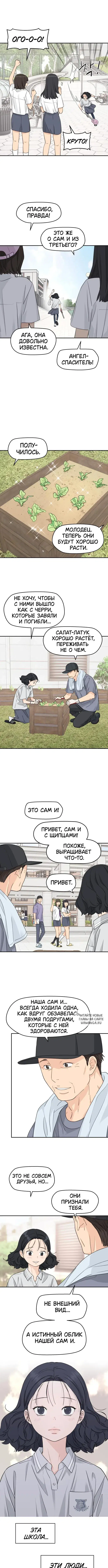 Page 3.000