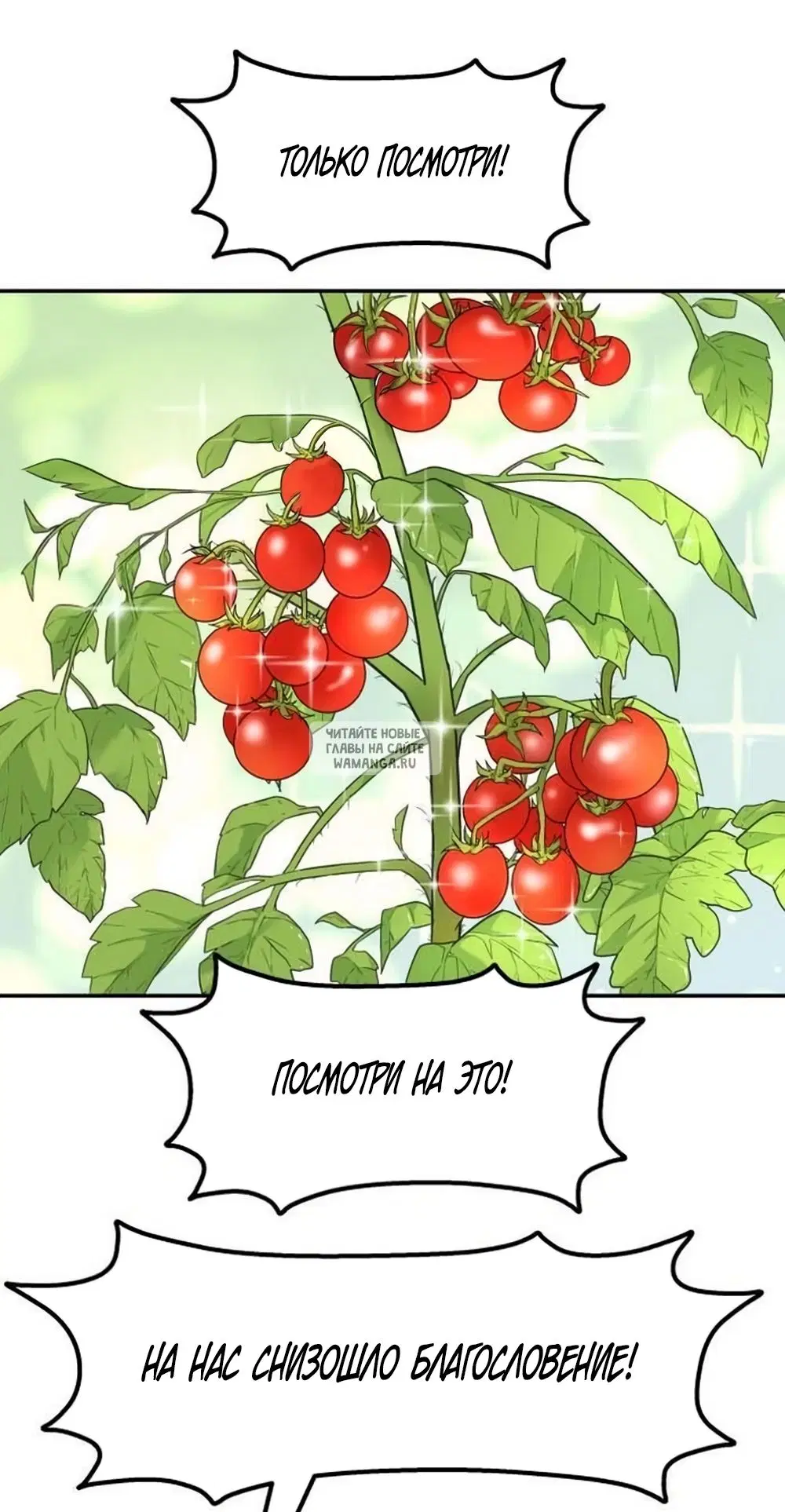 Page 32.000