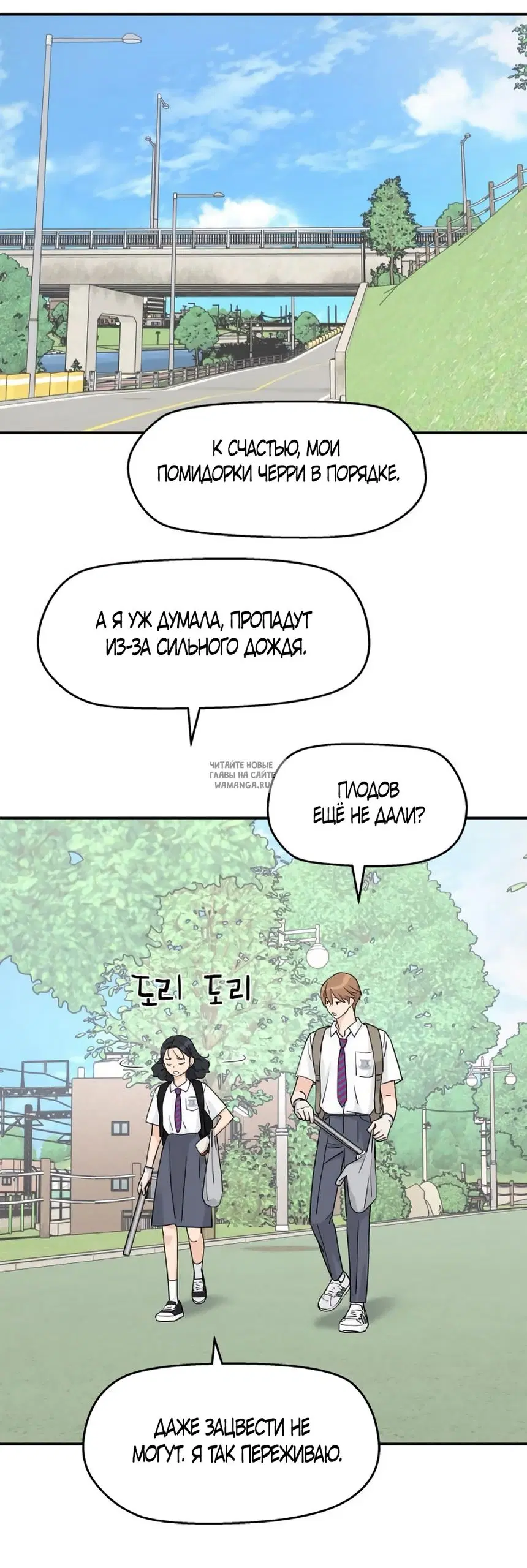 Page 43.000