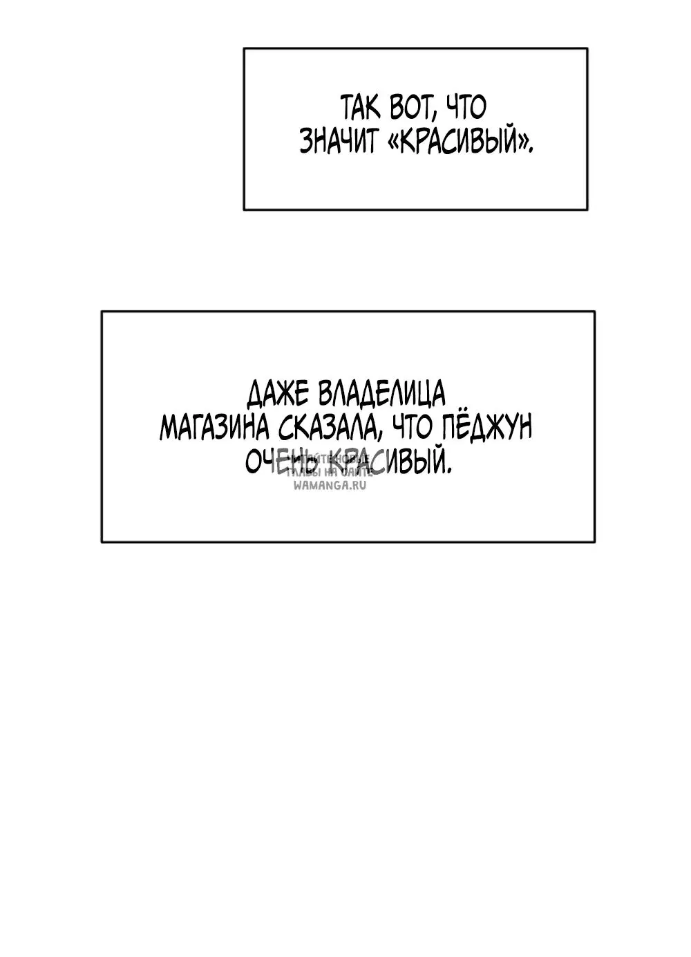 Page 61.000