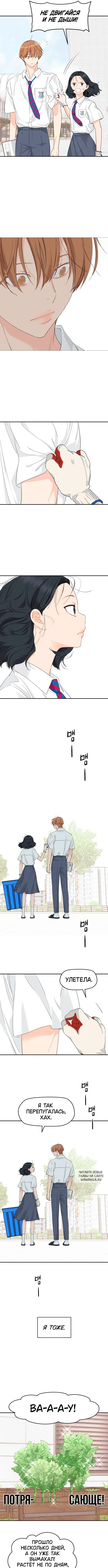 Page 6.000