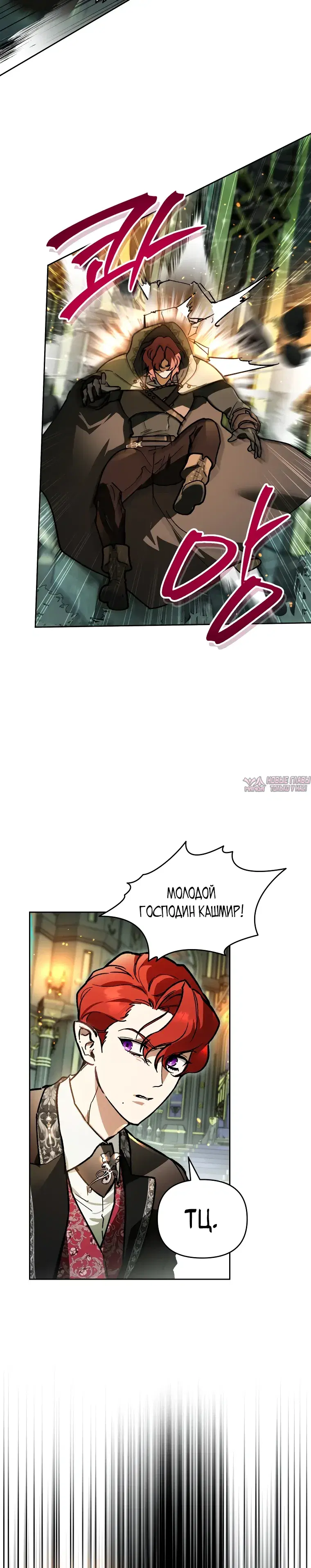 «Тёмный Мастер стал гениальным негодяем», глава 58, страница 24.000000000