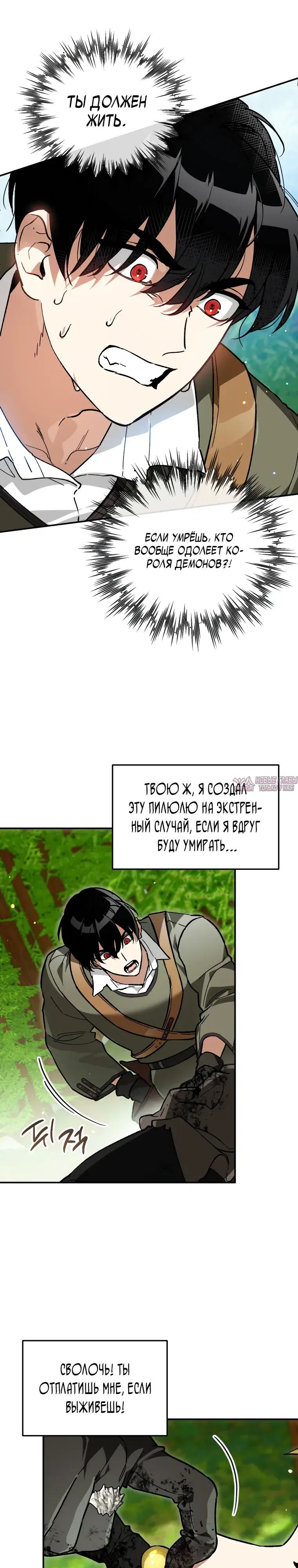 «Тёмный Мастер стал гениальным негодяем», глава 62, страница 31.000000000