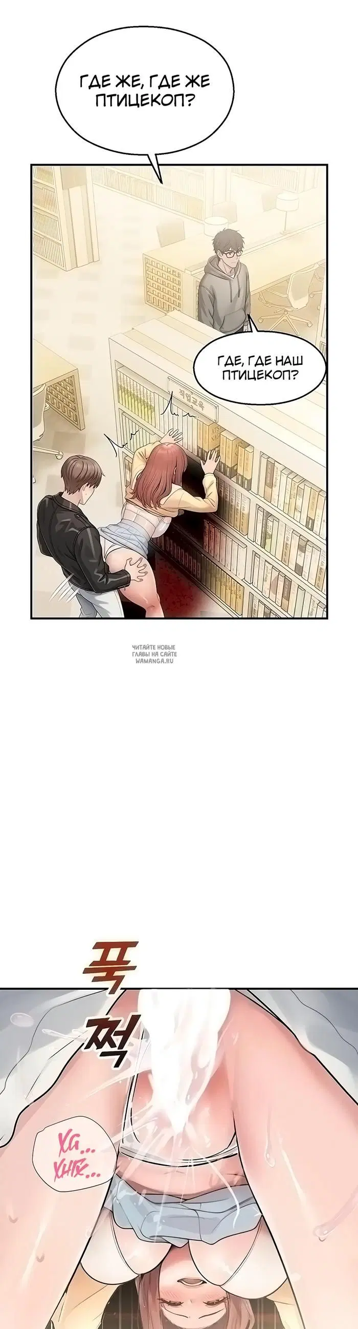 Page 41.000