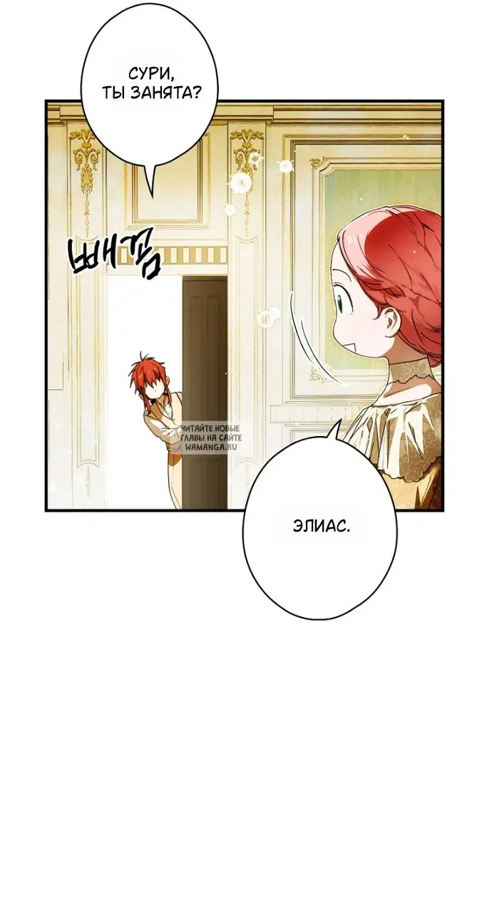 Page 51.000