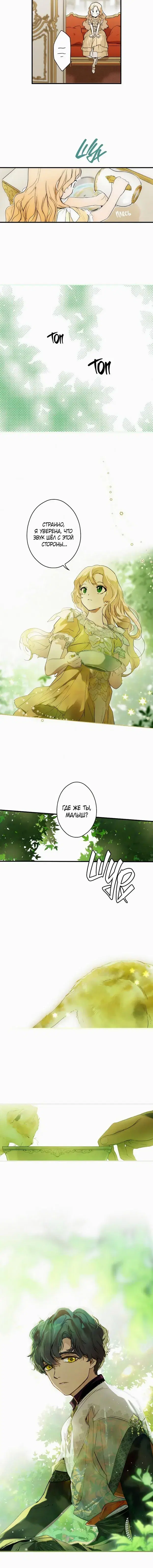Page 6.001