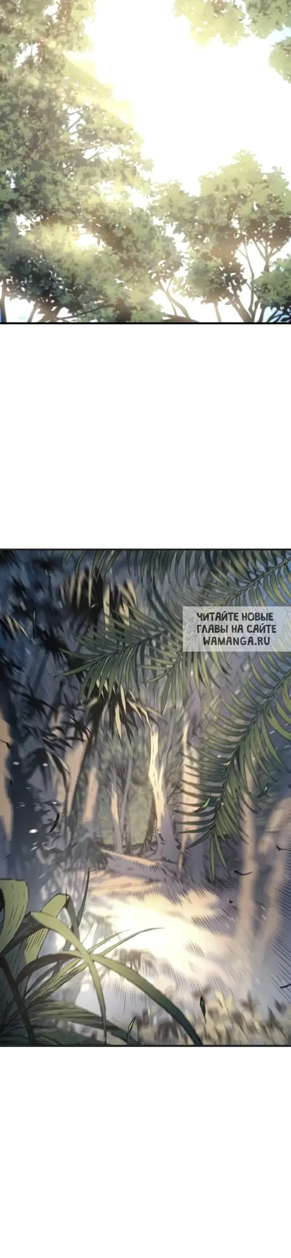 Page 41.000